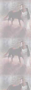 horsewhisperer.jpg (10460 bytes)