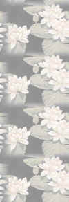 lotusflowers.jpg (15002 bytes)