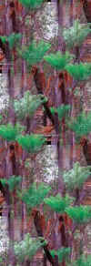 woodedforest3.jpg (25010 bytes)